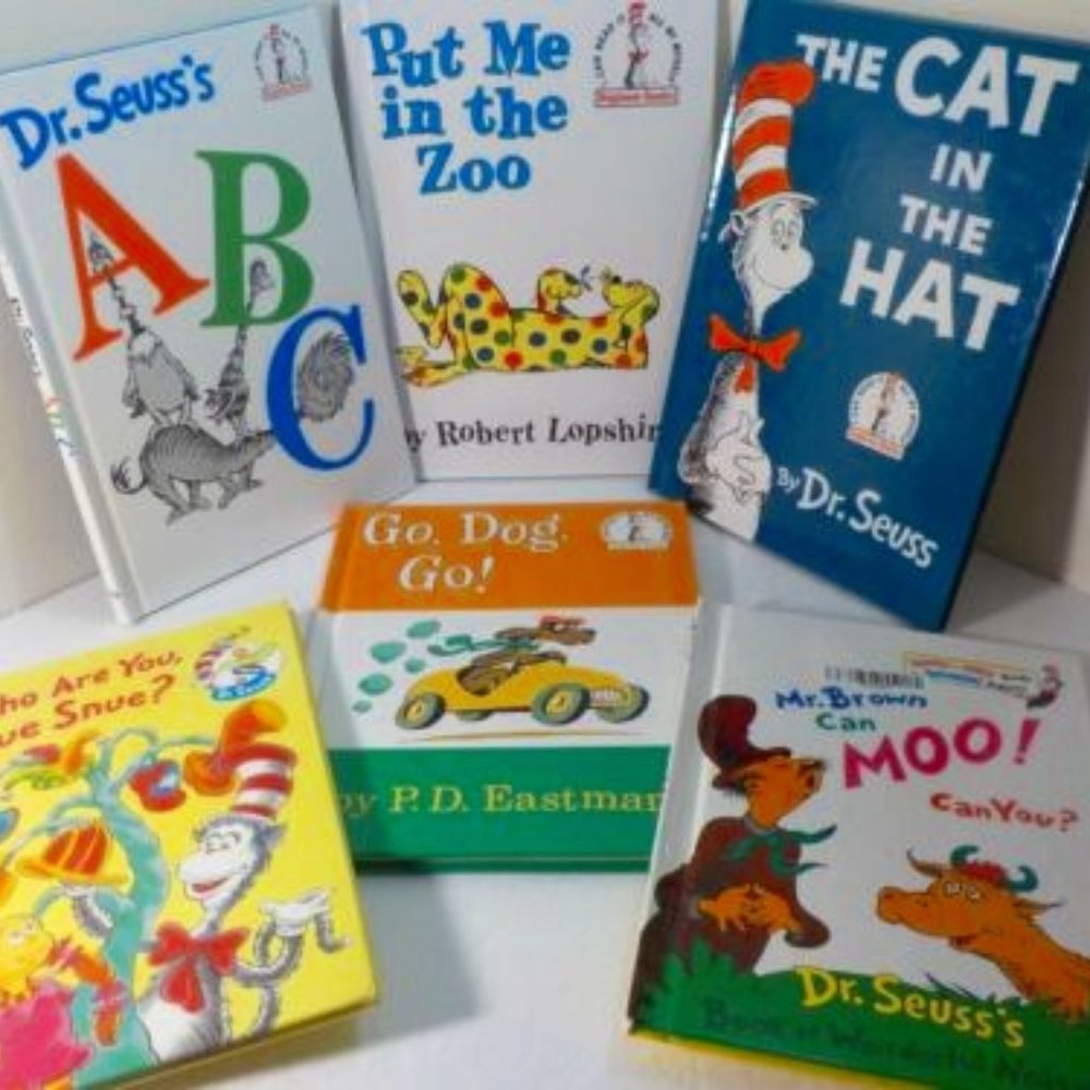 Dr Seuss 6 Hardback Book Lot, Mr. Brown, The Cat, ABC, Zoo, Sue Snue, Go Dog